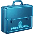 Professionnel
